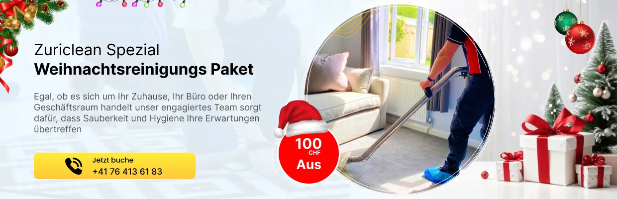 Christmas Offer - Züriclean